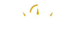 Impargo Logo -- Dark